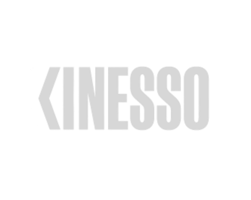 Kinesso