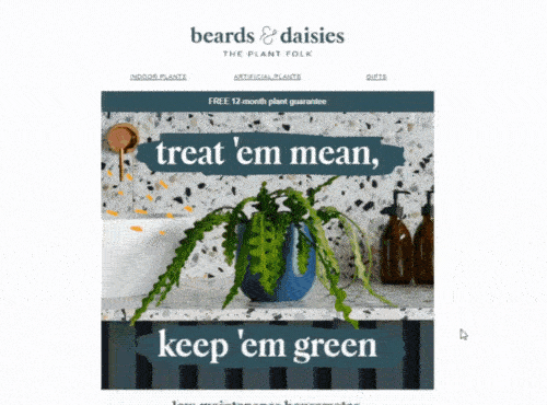 I killed all my plants 🌱