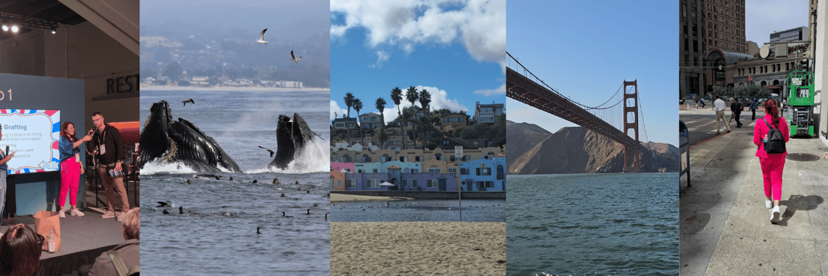 Just a little snippet of my trip (not that you asked)