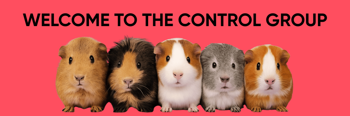 A cute little row of guinea pigs, cute like YOU 